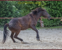 2-13JUIN 0233